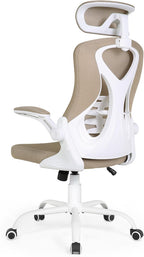 Ergonomic Office Chair Computer Desk with High Back