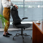 Ergonomic Office Chair Computer Desk with High Back