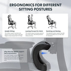 Ergonomic Office Chair Executive Mesh Desk with Height
