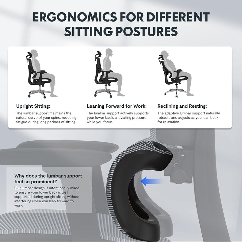 Ergonomic Office Chair Executive Mesh Desk with Height