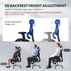 Ergonomic Office Chair Executive Mesh Desk with Height