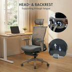 Ergonomic Office Chair Folding for Small Spaces