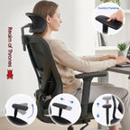 Ergonomic Office Chair Back Support and Long Hours