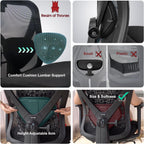 Ergonomic Office Chair Back Support and Long Hours