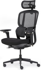Ergonomic Office Chair for Back Support Long Hours
