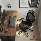 Ergonomic Office Chair Back Support and Long Hours