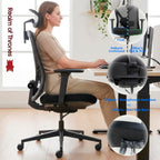 Ergonomic Office Chair Back Support and Long Hours