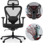 Ergonomic Office Chair Back Support and Long Hours