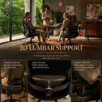 Ergonomic Office Chair Back Support and Long Hours