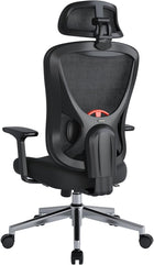 Black Eb