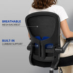 Ergonomic Office Chair Mesh Desk with Adjustable Lumbar