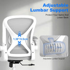 Ergonomic Office Chair with Adjustable Lumbar Support 136