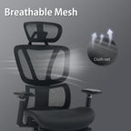 Ergonomic Office Chair with Adjustable Lumbar Support High