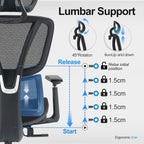 Ergonomic Office Chair with Adjustable Lumbar Support High
