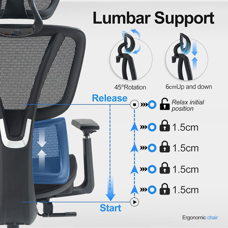 Ergonomic Office Chair with Adjustable Lumbar Support High