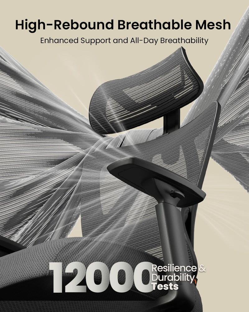Ergonomic Office Desk Chair with 10CM Spring Cushion