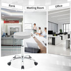 Ergonomic Rolling Office Stool Chair with Backrest Swivel