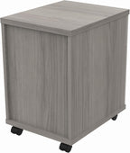 Essentials Heavy Duty 2 Drawer Mobile Pedestal A4