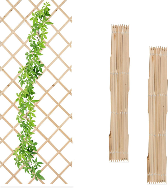 Extendable Trellis 180 X 90CM Wood Wall-Mounted (Set of 3)