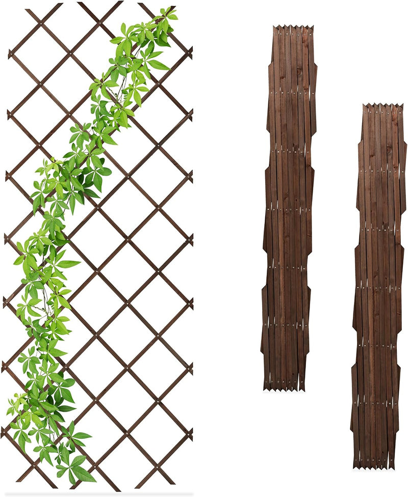 Extendable Trellis 180 X 90CM Wood Wall-Mounted (Set of 3)