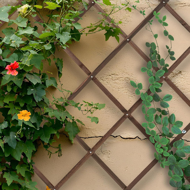 Extendable Trellis 180 X 90CM Wood Wall-Mounted (Set of 3)