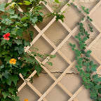 Extendable Trellis 180 X 90CM Wood Wall-Mounted (Set of 3)