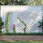 Extendable Trellis 180 X 90CM Wood Wall-Mounted (Set of 3)