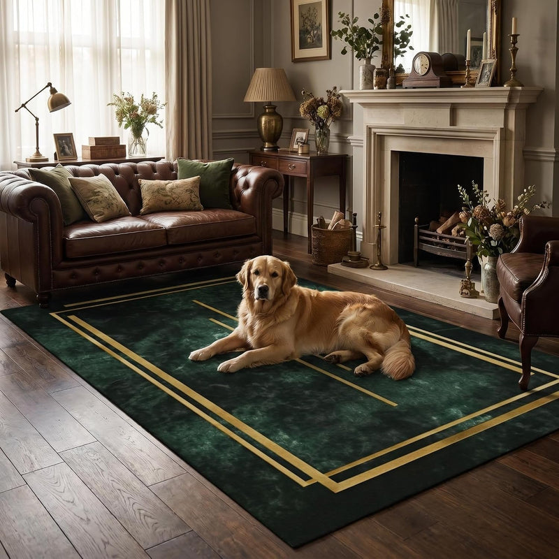 Extra Large Rugs for Living Room Machine Washable