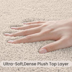 Extra Large Rugs Living Room Carpet
