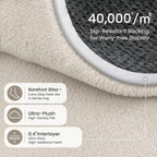 Extra Large Rugs Living Room Carpet