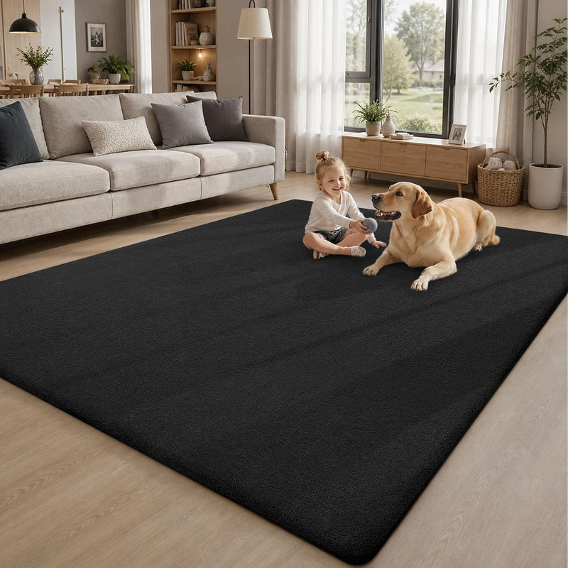 Extra Large Rugs Living Room Carpet