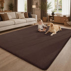 Extra Large Rugs Living Room Carpet