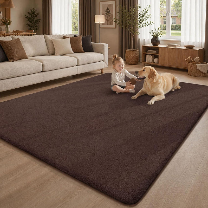 Extra Large Rugs Living Room Carpet