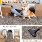 Extra Living Room Area Rug Machine