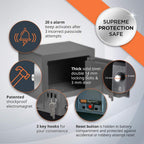Family Electronic LCD Safe with Fireproof Money