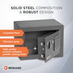 Family Electronic LCD Safe with Fireproof Money