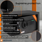 Family Electronic LCD Safe with Fireproof Money