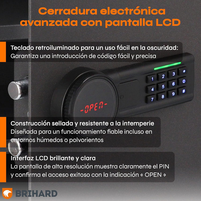 Family Electronic LCD Safe with Fireproof Money
