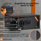 Family Electronic LCD Safe with Fireproof Money