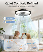 Fans with Lights and Remote 50CM Low Profile