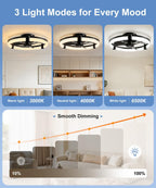 Fans with Lights and Remote 50CM Low Profile