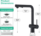 Faustina Pull Out Kitchen Mixer Tap with Dual