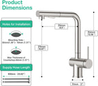 Faustina Pull Out Kitchen Mixer Tap with Dual