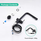 Faustina Pull Out Kitchen Mixer Tap with Dual