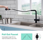 Faustina Pull Out Kitchen Mixer Tap with Dual