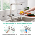 Faustina Pull Out Kitchen Mixer Tap with Dual