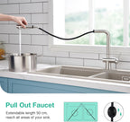 Faustina Pull Out Kitchen Mixer Tap with Dual