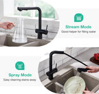 Faustina Pull Out Kitchen Mixer Tap with Dual