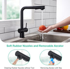 Faustina Pull Out Kitchen Mixer Tap with Dual