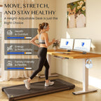 Flexispot One Piece Electric Standing Desk Sit Stand